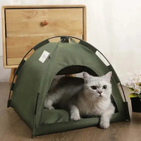 Tente verte pour chat