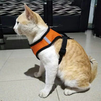 Harnais pour chat confortable et laisse - Présentation côté buste et dos Orange