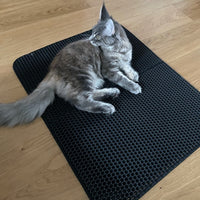 Chat confortablement allongé sur notre tapis de litière