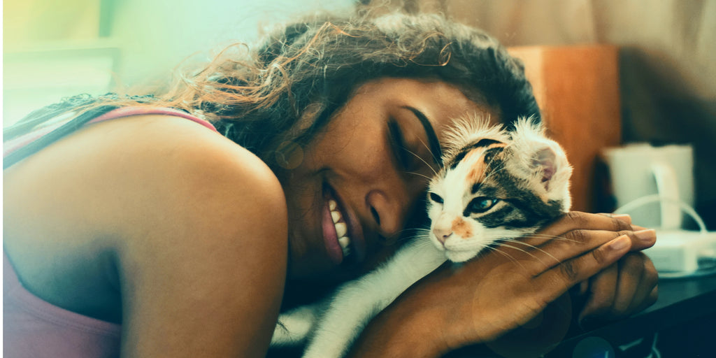 Les bienfaits étonnants de la ronronthérapie : Quand les chats guérissent