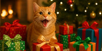 Chat heureux – Cadeaux de Noël colorés pour chat sous sapin 🎁 | Au Paradis du Chat