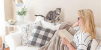 Chat qui regarde sa maîtresse lire un livre sur le canapé