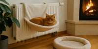 Chat près d’un radiateur en hiver – Confort et sécurité avec hamac dédié, espace douillet sans risque de brûlure | Au Paradis du Chat