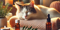 Chat détendu allongé sur une couverture douce dans un environnement cosy, entouré d'éléments apaisants comme des plantes et des huiles essentielles, évoquant le bien-être.