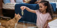 Fille qui joue avec son chat