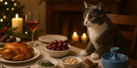 Chat gris et blanc à table de Noël – aliments toxiques des fêtes hors de portée, prévention des risques d’intoxication pour chat, Au Paradis du Chat 🎄