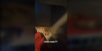 Bébé opossum dans la cage d'un chat