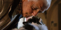 Bisou esquimau entre un homme âgé et son chat sénior