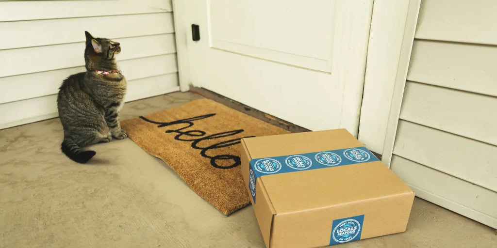 Retrouvée à 1000 km de chez elle : Découvrez le voyage incroyable d'une chatte dans un colis inattendu