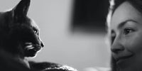 Un chat et une femme qui se regardent tendrement dans les yeux