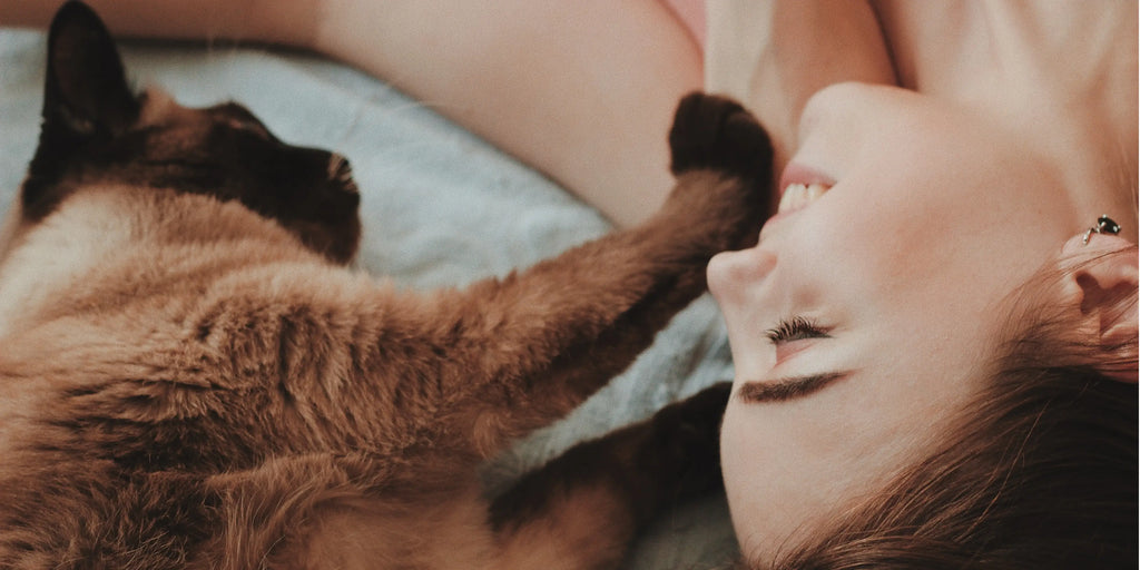 Comprendre et cultiver l'amitié avec un chat : Guide du langage corporel félin