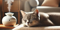 Chat détendu se reposant dans un intérieur chaleureux avec un diffuseur de phéromones en arrière-plan, créant une atmosphère sereine et apaisante.