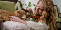 Femme qui brosse le pelage de son chat