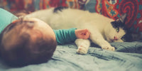 Bébé allongé avec chat