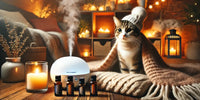 Chat relaxé dans une ambiance hivernale, avec quatre flacons d’huiles essentielles sécurisées et un diffuseur actif en premier plan.