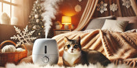 Chat détendu près d’un humidificateur dans un intérieur chaleureux en hiver, illustrant les solutions pour prévenir les problèmes respiratoires.