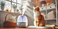 Chat détendu près d'un humidificateur dans une pièce confortable en hiver, symbolisant l'importance d'un taux d'humidité équilibré pour le bien-être des chats.