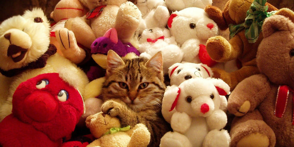Comment choisir le meilleur jouet pour chat en 2023