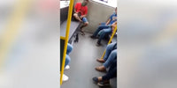 Ayala la chatonne joue au milieu des passagers du bus