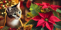 Chat curieux observant des plantes de Noël comme un poinsettia et du houx dans un décor festif, avec ambiance chaleureuse de Noël en arrière-plan.