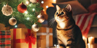 Chat curieux près d'un sapin de Noël décoré avec des lumières et des ornements, dans une ambiance festive et chaleureuse.