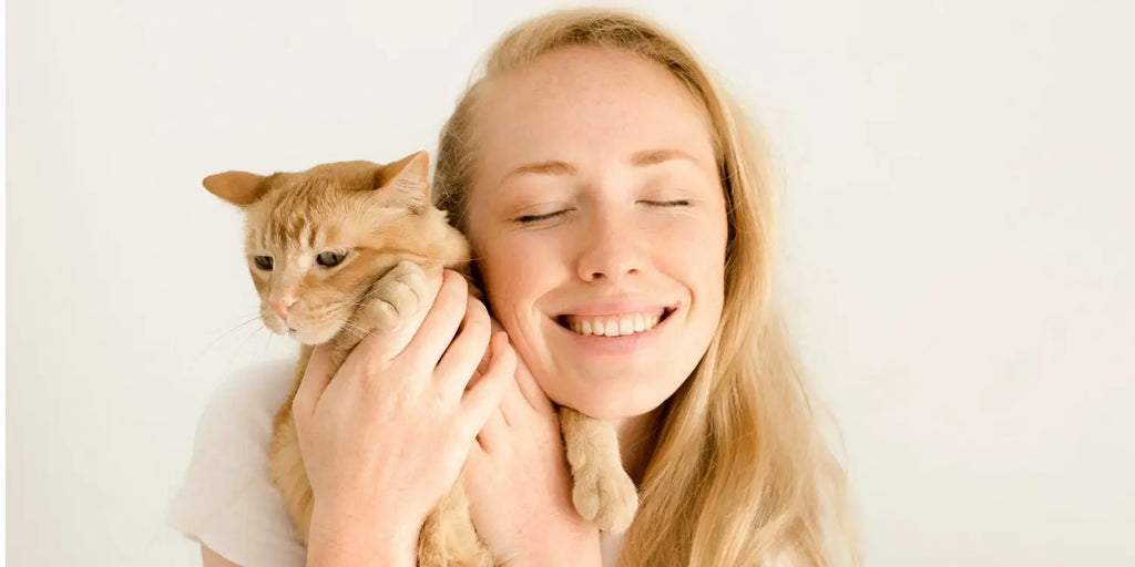 Quel est l'âge idéal pour adopter un chat ?