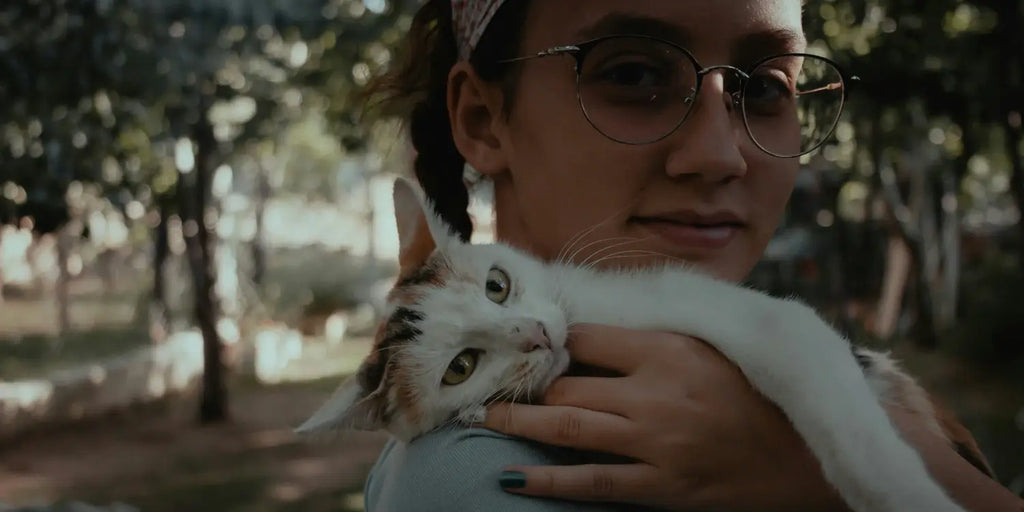 Les bienfaits de la socialisation précoce des chatons : Techniques efficaces