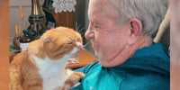 Un chat touché par le cancer de son grand-père décide de lui apporter son réconfort