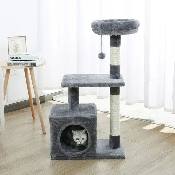 Chat installé dans la maisonnette de son arbre à chat de couleur gris