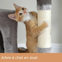 Chaton utilisant le griffoir en sisal de l'arbre à chat