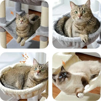 Chats se relaxant dans les hamacs de l'arbre à chat multi-niveaux avec griffoirs en sisal