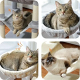 Chats se relaxant dans les hamacs de l'arbre à chat multi-niveaux avec griffoirs en sisal