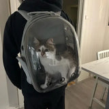 Transportez votre chat facilement avec le sac à dos de transport pour chat