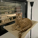 Chat roux confortablement installé dans un hamac de fenêtre à l'intérieur