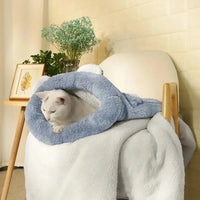 Chat allongé dans son sac de couchage doux et réconfortant