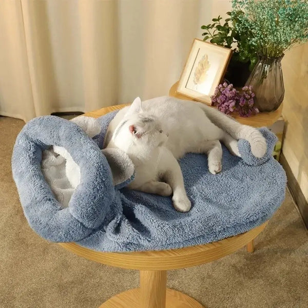 Chat assis sur son doux et confortable sac de couchage