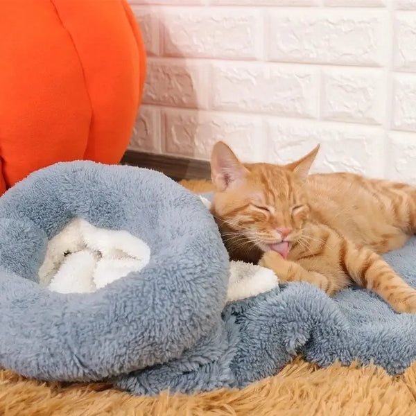 Chat se toilettant sur le cocon pour chat