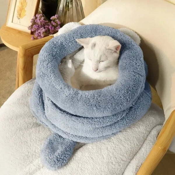 Chat assis confortablement dans son sac de couchage