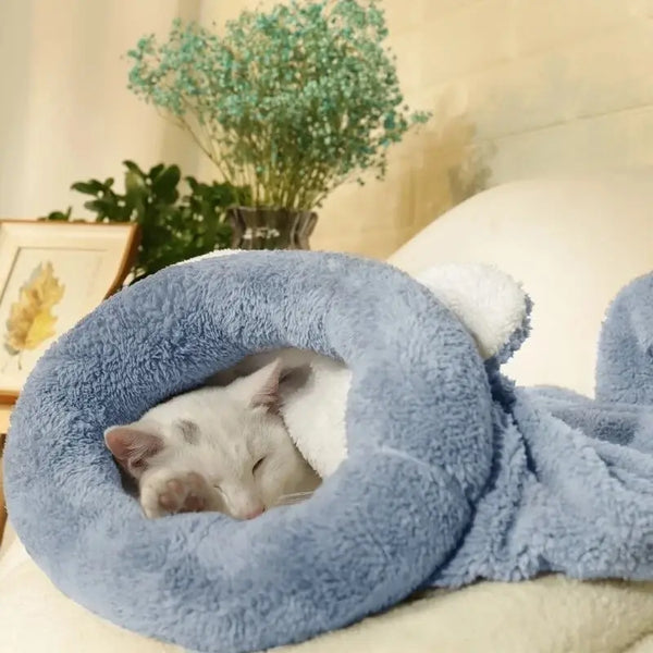 Chat qui fait une sieste dans son cocon tout doux