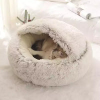 Chat qui joue dans notre coussin fermé adapté à l'été