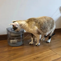 Chat beige et blanc s'abreuvant dans sa fontaine à eau automatique