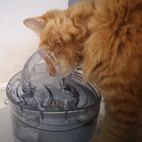 Chat marron buvant au robinet de la fontaine à eau intelligente