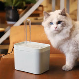 Chat blanc devant la fontaine à eau silencieuse bleu ciel