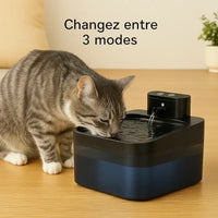 Chat tigré gris buvant à une fontaine à eau intelligente – 3 modes de fonctionnement sélectionnables d’un simple clic