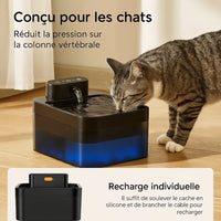 Fontaine à eau pour chat ergonomique – Conçue pour une posture naturelle, réduit la pression sur la colonne vertébrale, recharge facile via port USB-C