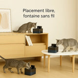 Fontaine à eau sans fil pour chat – Placement libre dans la maison pour une hydratation facile partout