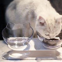 Chat qui mange des croquettes dans la gamelle inclinée 2 bols, à sa gauche de l'eau à sa disposition