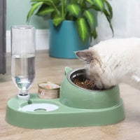 Chat qui se nourrit dans notre Gamelle pour chat 2 en 1 - Distributeur d'eau et bol anti-vomissement