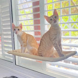 Deux chats assis dans un hamac de fenêtre, profitant de la vue extérieure tout en étant confortablement installés