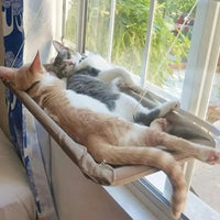 Deux chats endormis dans un hamac de fenêtre, profitant d'une vue panoramique et du confort offert